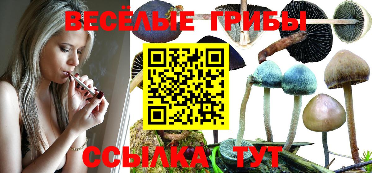 Железногорск  Галлюциногенные грибы MAGIC MUSHROOMS  наркотики  Вход с VPN 